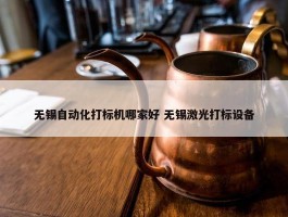 无锡自动化打标机哪家好 无锡激光打标设备