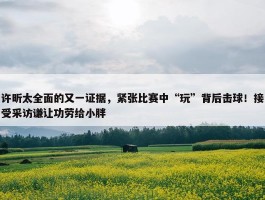 许昕太全面的又一证据，紧张比赛中“玩”背后击球！接受采访谦让功劳给小胖