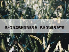 低分怎样选机械自动化专业，机械自动化专业咋样