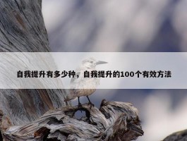 自我提升有多少种，自我提升的100个有效方法