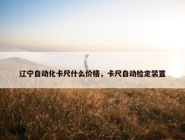 辽宁自动化卡尺什么价格，卡尺自动检定装置