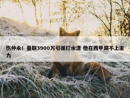 伤仲永！曼联3900万引援打水漂 他在西甲踢不上主力