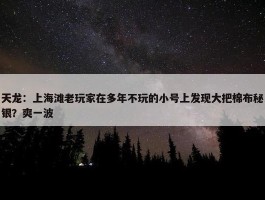 天龙：上海滩老玩家在多年不玩的小号上发现大把棉布秘银？爽一波