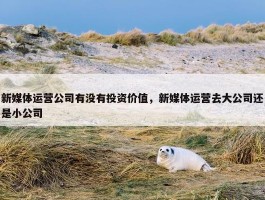 新媒体运营公司有没有投资价值，新媒体运营去大公司还是小公司