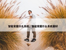 智能家居什么系统，智能家居什么系统最好