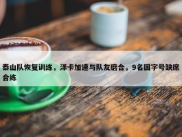 泰山队恢复训练，泽卡加速与队友磨合，9名国字号缺席合练