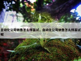 自动化公司销售怎么样面试，自动化公司销售怎么样面试呢