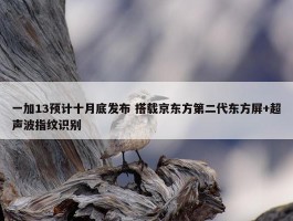 一加13预计十月底发布 搭载京东方第二代东方屏+超声波指纹识别