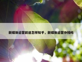 新媒体运营前途怎样知乎，新媒体运营挣钱吗