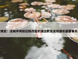 博主：沈晓宇将担任股改后的浙江职业足球俱乐部董事长