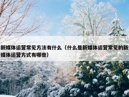 新媒体运营常见方法有什么（什么是新媒体运营常见的新媒体运营方式有哪些）