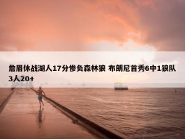 詹眉休战湖人17分惨负森林狼 布朗尼首秀6中1狼队3人20+