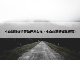 小白新媒体运营助理怎么样（小白应聘新媒体运营）