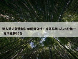 湖人队史新秀替补单场得分榜：库兹马等3人28分第一 克内克特35分