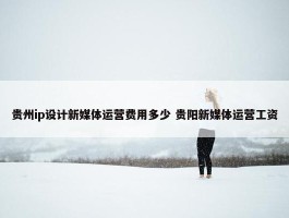 贵州ip设计新媒体运营费用多少 贵阳新媒体运营工资