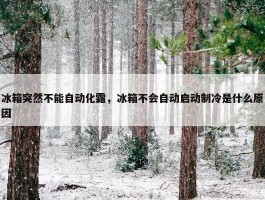 冰箱突然不能自动化霜，冰箱不会自动启动制冷是什么原因