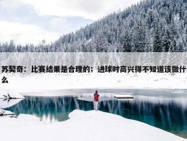 苏契奇：比赛结果是合理的；进球时高兴得不知道该做什么