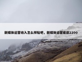 新媒体运营收入怎么样贴吧，新媒体运营底薪2200