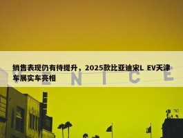 销售表现仍有待提升，2025款比亚迪宋L EV天津车展实车亮相