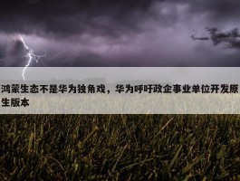 鸿蒙生态不是华为独角戏，华为呼吁政企事业单位开发原生版本 