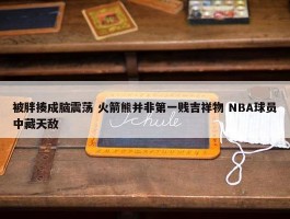 被胖揍成脑震荡 火箭熊并非第一贱吉祥物 NBA球员中藏天敌