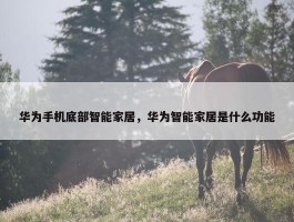 华为手机底部智能家居，华为智能家居是什么功能