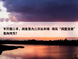 不只做二手，闲鱼发力二次元市场  将从“闲置交易”走向何方？