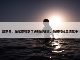 凯塞多：帕尔默嗅到了进球的味道，他将和哈兰德竞争