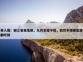 非人哉：妲己容易发飙，九月见怪不怪，敖烈半夜被狐狸群吓到