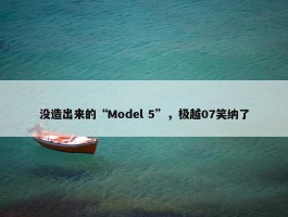 没造出来的“Model 5”，极越07笑纳了