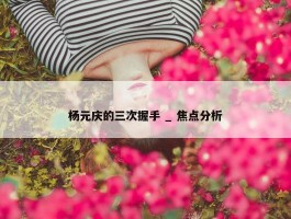 杨元庆的三次握手 _ 焦点分析