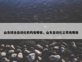 山东综合自动化机构有哪些，山东自动化公司有哪些