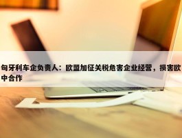 匈牙利车企负责人：欧盟加征关税危害企业经营，损害欧中合作