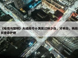 《暗夜与黎明》大结局岑小满赢过林少白，才明白，杨局长舍命护她