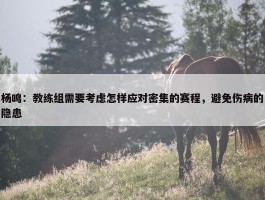 杨鸣：教练组需要考虑怎样应对密集的赛程，避免伤病的隐患