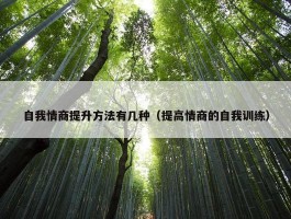 自我情商提升方法有几种（提高情商的自我训练）