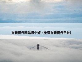 自我提升网站哪个好（免费自我提升平台）