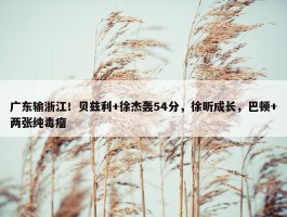 广东输浙江！贝兹利+徐杰轰54分，徐昕成长，巴顿+两张纯毒瘤