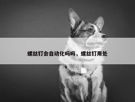 螺丝钉会自动化吗吗，螺丝钉用处