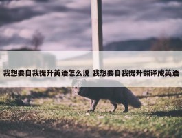 我想要自我提升英语怎么说 我想要自我提升翻译成英语