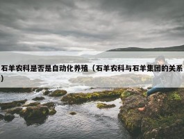 石羊农科是否是自动化养殖（石羊农科与石羊集团的关系）