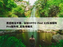 质感相当不错，疑似OPPO Find X8标准版和Pro版外观_配色等曝光