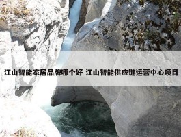 江山智能家居品牌哪个好 江山智能供应链运营中心项目