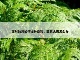 面对敌意如何提升自我，敌意太强怎么办