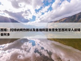 西媒：托特纳姆热刺以及塞维利亚有意免签西班牙人前锋普阿多