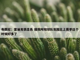 布朗尼：雷迪克很出色 据我所知球队氛围比上赛季这个时候好多了