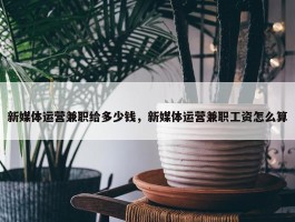 新媒体运营兼职给多少钱，新媒体运营兼职工资怎么算