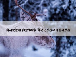 自动化管理系统找哪家 自动化系统项目管理系统