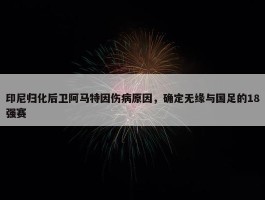 印尼归化后卫阿马特因伤病原因，确定无缘与国足的18强赛