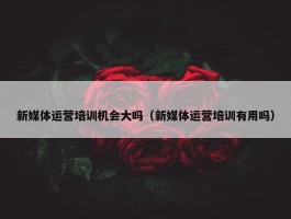 新媒体运营培训机会大吗（新媒体运营培训有用吗）